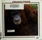 Cover of: Orangutans