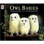 Cover of: Owl Babies by Martin Waddell, Andrea B. Bermudez