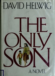 Cover of: The only son: a novel