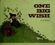Cover of: One big wish by Jay Williams