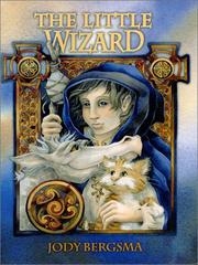 Cover of: The little wizard by Jody Bergsma