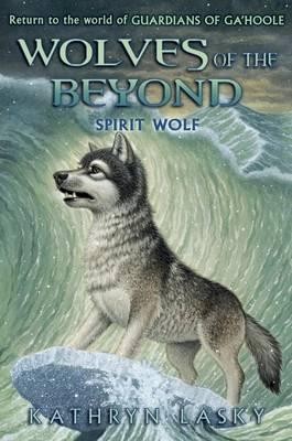 Book's cover