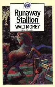 Cover of: Runaway Stallion (Walter Morey Adventure Library)