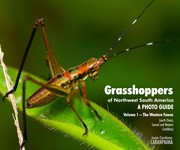 Grasshoppers of Northwest South America, A Photo Guide, Vol. 1 - The Western Fauna by Juan Manuel Cardona Granda