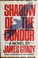 Cover of: Shadow of the condor