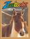 Cover of: Wild Horses (Zoobooks Series)