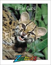 Cover of: Little Cats (Zoobooks Series) by Wildlife Education, Richard Orr