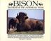 Cover of: Bison