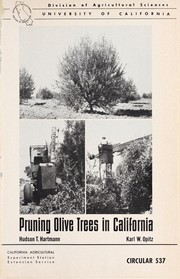 Cover of: Pruning olive trees in California