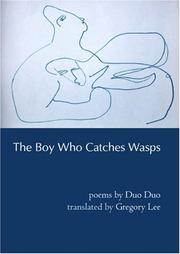 Cover of: The Boy Who Catches Wasps
