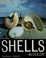 Cover of: Shells in color