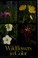 Cover of: Wildflowers in Color (Harper Colophon Books)