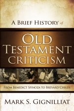 Cover of: A brief history of Old Testament criticism: from Benedict Spinoza to Brevard Childs