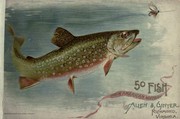 Cover of: 50 fish from American waters by Allen & Ginter