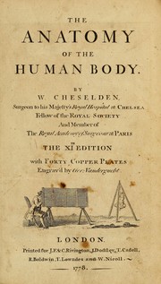 Cover of: The anatomy of the human body