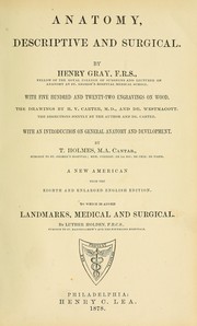 Cover of: Anatomy, descriptive and surgical by Henry Gray F.R.S.