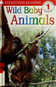 Cover of: Wild baby animals