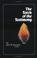 Cover of: Torch of the Testimony