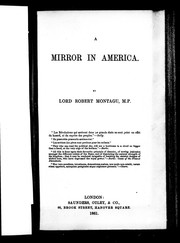Cover of: A mirror in America