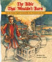 Cover of: The Bible That Wouldn't Burn: How the English Version of the New Testament Came About