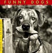 Cover of: Funny Dogs by Suares