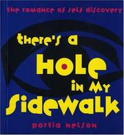 Cover of: There's a Hole in My Sidewalk by Portia Nelson