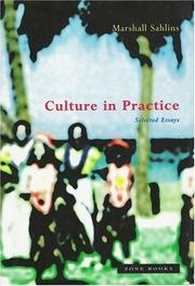 Cover of: Culture in Practice: Selected Essays