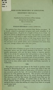 Italian rye-grass (Lolium multiflorum)