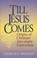 Cover of: Till Jesus comes