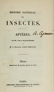 Cover of: Histoire naturelle des insectes: Névroptères