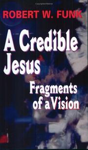 Cover of: A Credible Jesus: Fragments of a Vision