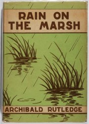 Rain on the marsh by Archibald Hamilton Rutledge