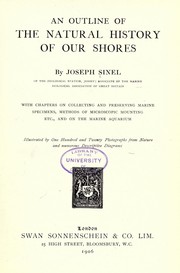 Cover of: An outline of the natural history of our shores | Joseph Sinel