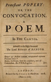 Cover of: Protestant popery, or, The convocation: a poem : in five cantos