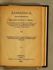 Relación puntual y verídica de los estragos que causó en la muy noble y leal ciudad de Arequipa by Juan Domingo de Zamácola y Jáuregui