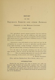 Cover of: Report on the injurious insects and other animals observed in the Midland counties during 1904-07