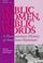 Cover of: Public Women, Public Words