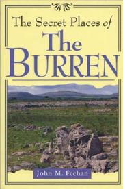 Cover of: The Secret Places of the Burren by John M. Feehan