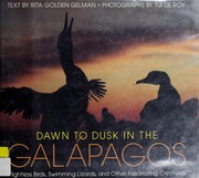 Cover of: Dawn to dusk in the Galápagos: flightless birds, swimming lizards, and other fascinating creatures