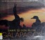Cover of: Dawn to dusk in the Galápagos
