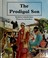 Cover of: The prodigal son