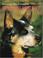 Cover of: The Complete Australian Cattle Dog (Book of the Breed Series)