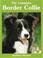 Cover of: The Complete Border Collie (Book of the Breed)