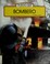 Cover of: Puedo ser bombero