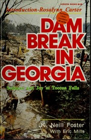 Cover of: Dam Break in Georgia by Kenneth Neill Foster, K. Neill Foster