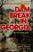Cover of: Dam Break in Georgia