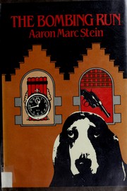 Cover of: The bombing run by Aaron Marc Stein