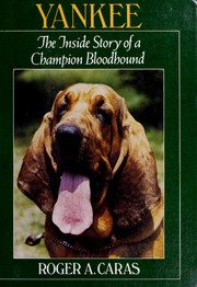 Cover of: Yankee: The inside story of a champion bloodhound