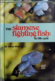 Cover of: The Siamese fighting fish, its life cycle by William White