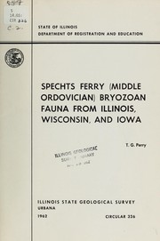 Cover of: The Interpreter's dictionary of the Bible: an illustrated encyclopedia identifying and explaining all proper names and significant terms and subjects in the Holy Scriptures, including the Apocrypha, with attention to archaeological discoveries and researches into the life and faith of ancient times.